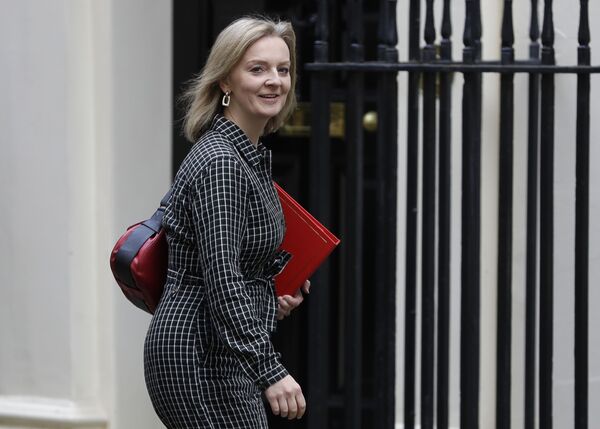 UK Reportedly Mulls Cutting Tariffs on US Agricultural Imports in 'Big Concession Package' UK Reportedly Mulls Cutting Tariffs on US Agricultural Imports in 'Big Concession Package' - Sputnik International