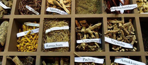 In this photograph taken on November 6, 2014, a display of herbs on a stand at the sixth World Ayurveda Congress and Arogya Expo in New Delhi. In this photograph taken on November 6, 2014, a display of herbs on a stand at the sixth World Ayurveda Congress and Arogya Expo in New Delhi. - Sputnik International