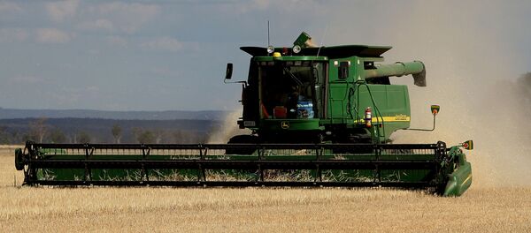 This photo, taken 12 November 2007 shows a dry and stunted barley crop being harvested on the property of farmer Paul Rout at Grenfell in the central west of New South Wales. - Sputnik International