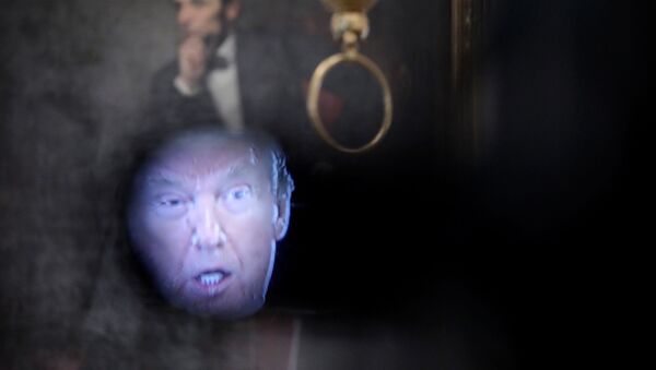 U.S. President Donald Trump is seen in the viewfinder of a television camera positioned in front of a portrait of former President Abraham Lincoln during a roundtable discussion with industry executives on the administration's plan for Opening Up America Again? amid the coronavirus disease (COVID-19) pandemic at the White House in Washington, U.S., April 29, 2020 - Sputnik International