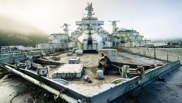 A cemetery of French warships discovered by photographer Bob Thissen - Sputnik International