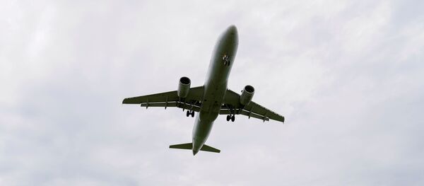 Flight attendants photograph a plane landing at Reagan National Airport during the coronavirus crisis while on a layover in Washington, U.S., April 29, 2020. Flight attendants photograph a plane landing at Reagan National Airport during the coronavirus crisis while on a layover in Washington, U.S., April 29, 2020. - Sputnik International