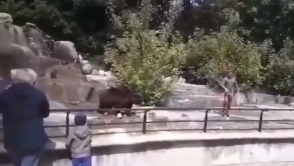 Screenshot of the video of a man breaking into the bear's enclosure in Warsaw Zoo, Poland - Sputnik International