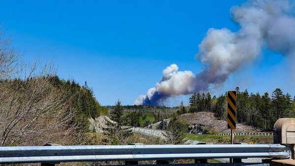Fire broke out in Halifax Municipality, Nova Scotia, Canada, 23 May 2020 - Sputnik International