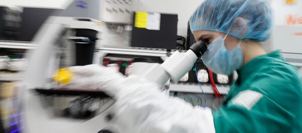A scientist examines COVID-19 infected cells under a microscope during research for a vaccine against the coronavirus disease (COVID-19) at a laboratory of BIOCAD biotechnology company in Saint Petersburg, Russia May 20, 2020 - Sputnik International