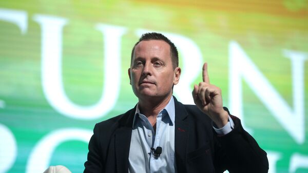 Richard Grenell  - Sputnik International