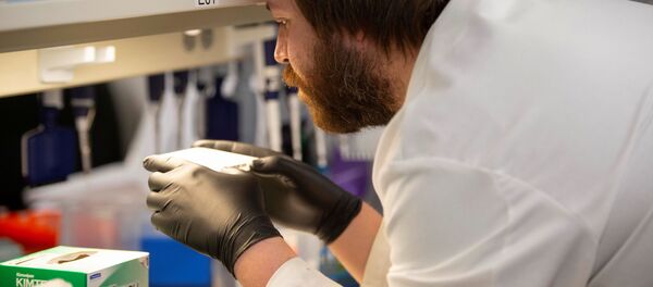 Researcher Cody Hoffmann checks the results of an automated liquid handler as researchers begin a trial to see whether malaria treatment hydroxychloroquine can prevent or reduce the severity of coronavirus disease (COVID-19) at the University of Minnesota in Minneapolis, Minnesota, U.S. March 19, 2020 - Sputnik International