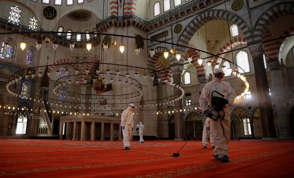 This Week in Pictures: 23 - 29 May - Sputnik International