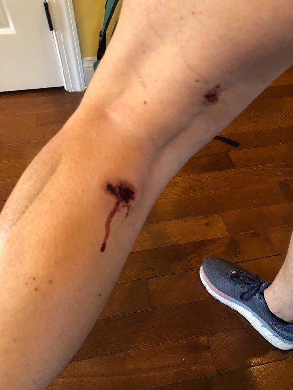 Moscow Views Deliberate Brutal Handling of Sputnik Journalist by US Police as Hostile Act Moscow Views Deliberate Brutal Handling of Sputnik Journalist by US Police as Hostile Act - Sputnik International