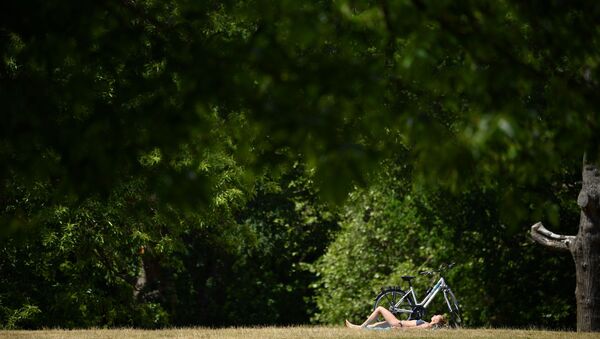 A woman sunbathes at Greenwich Park, south east London on June 2, 2020 following a further relaxation of the novel coronavirus COVID-19 lockdown rules.  - Sputnik International