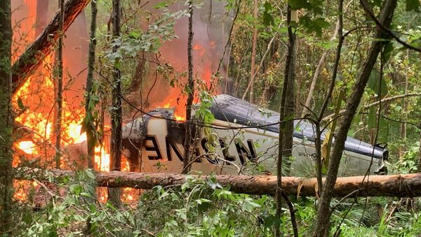 Photo of small plane crashed in rural Georgia, 5 June 2020 - Sputnik International