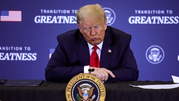 U.S. President Donald Trump participates in a roundtable discussion on commercial fishing in Bangor, Maine, U.S., June 5, 2020 - Sputnik International