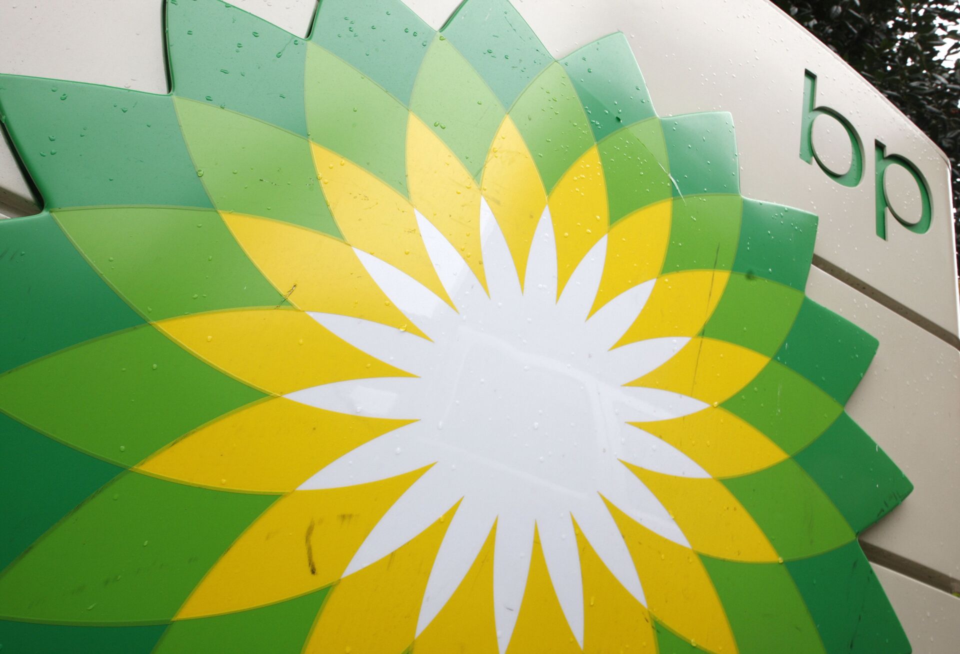 FILE - In this Oct. 25, 2007 file photo, the BP (British Petroleum) logo is seen at a gas station in Washington. BP will spend $7 billion to buy exploration rights to areas in the Gulf of Mexico, offshore Brazil and Canada owned by Devon Energy - Sputnik International, 1920, 25.08.2022