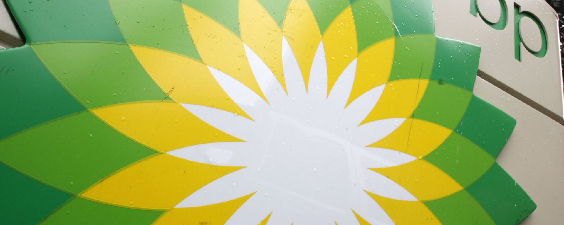FILE - In this Oct. 25, 2007 file photo, the BP (British Petroleum) logo is seen at a gas station in Washington. BP will spend $7 billion to buy exploration rights to areas in the Gulf of Mexico, offshore Brazil and Canada owned by Devon Energy - Sputnik International, 1920, 23.09.2021