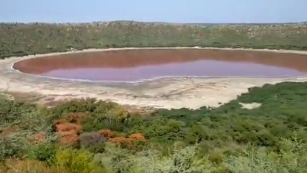 Maharashtra's Lonar Lake mysteriously turns pink - Sputnik International