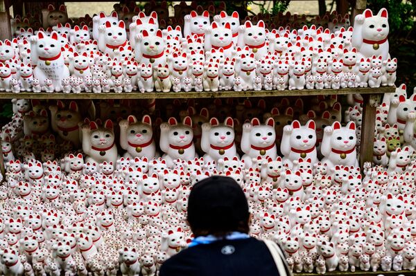 A visitor takes pictures of Maneki-neko statues, also known as beckoning cat, at Gotokuji temple in Tokyo on June 10, 2020. - Sputnik International