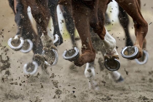 Horses' hooves during the Chelmsford City Racecourse in Chelmsford, England, 8 June 2020 - Sputnik International