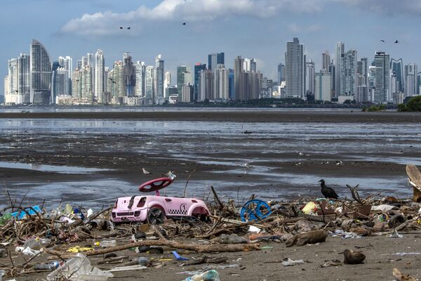 Double-crested cormorant (Phalacrocorax auritus) overfly garbage, including plastic waste, at the beach of the Costa del Este neighborhood in Panama City, on June 08, 2020, during the World Oceans Day. - Sputnik International