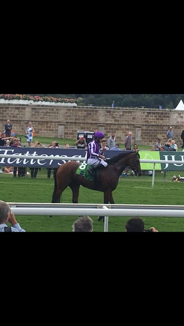 The Sputnik Intelligent Punter's Guide to Royal Ascot 2020 The Sputnik Intelligent Punter's Guide to Royal Ascot 2020 - Sputnik International