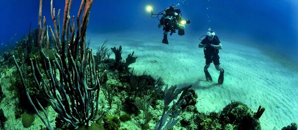 Underwater Underwater - Sputnik International