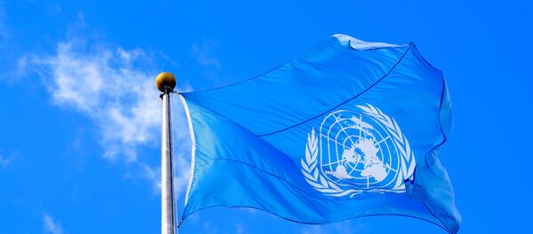 The United Nations flag is seen during the 74th session of the United Nations General Assembly at U.N. headquarters in New York City, New York, U.S., Sept. 24, 2019 - Sputnik International