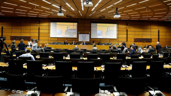 International Atomic Energy Agency (IAEA) Director General Rafael Grossi awaits the start of an interactive board of governors meeting at IAEA headquarters in Vienna, Austria, June 15, 2020. - Sputnik International