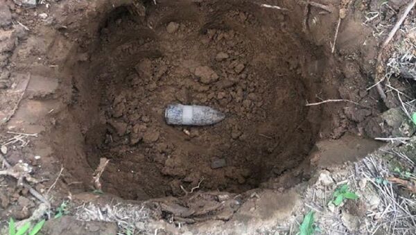 A WWI-era 37 MKI projectile found by Kelly and Shannon Thomas near their house in Harford County, Maryland, United States, 16.06.2020. - Sputnik International