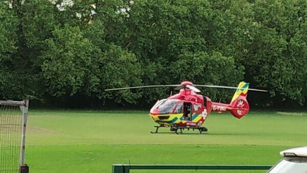 An ambulance helicopter at Forbury Garden, Reading Park - Sputnik International