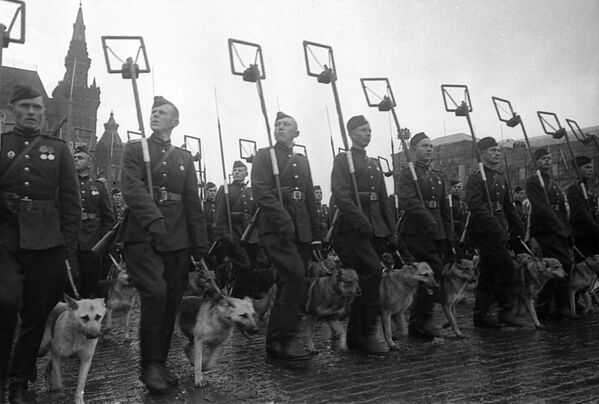 Rows of sappers with tracker dogs marching on Red Square during the first victory parade, 24 June 1945. - Sputnik International