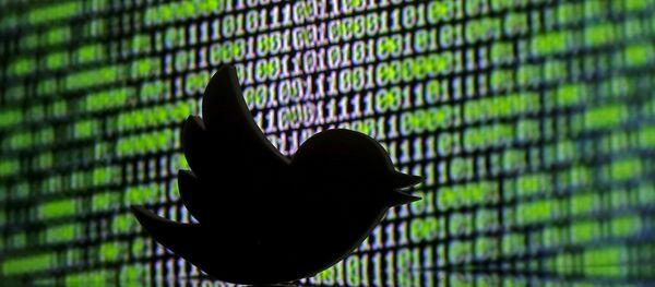 A 3D printed Twitter logo is seen in front of a displayed cyber code in this illustration taken March 22, 2016 A 3D printed Twitter logo is seen in front of a displayed cyber code in this illustration taken March 22, 2016 - Sputnik International