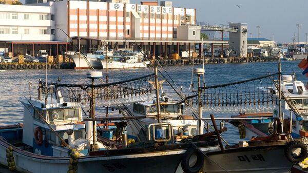 Squid Boats in the Harbour - Sputnik International