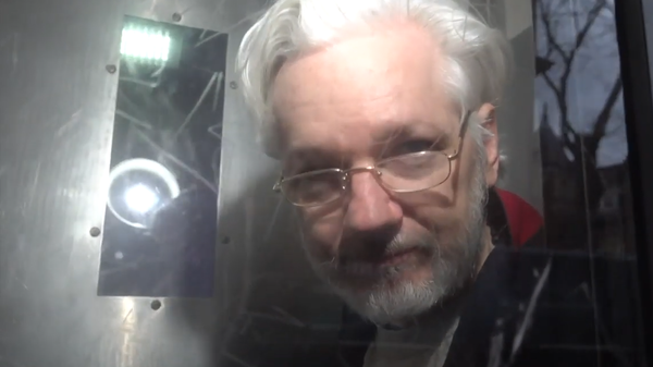 Julian Assange in Serco prison transport van - Sputnik International
