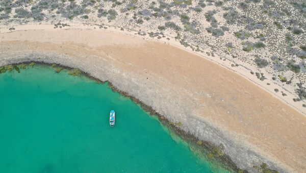 A general view of the area where researchers from Flinders University, University of Western Australia and James Cook University discovered underwater artefacts dated back thousands of years when the sea bed was dry land, in Australia, 2019 - Sputnik International