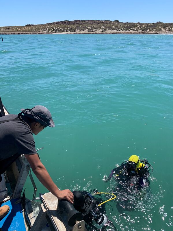 Researchers from Flinders University, the University of Western Australia, and James Cook University working on discovering underwater artefacts dating back thousands of years when the seabed was dry land, in the Dampier Archipelago in Australia, 2019. - Sputnik International