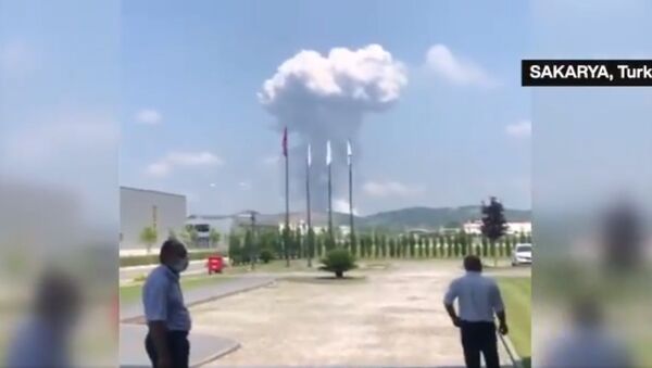 Explosion rocks fireworks factory in Turkey’s Sakarya   - Sputnik International