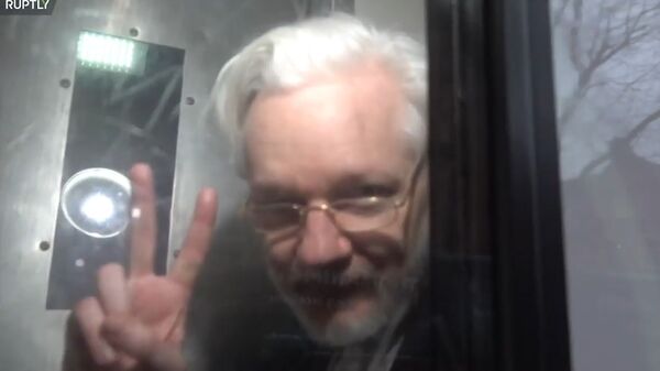 Julian Assange in Serco transport vehicle 13 Jan 2020 No 3 - Sputnik International