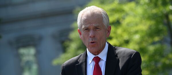 White House adviser Peter Navarro speaks to reporters outside the West Wing in Washington, U.S. July 3, 2020. White House adviser Peter Navarro speaks to reporters outside the West Wing in Washington, U.S. July 3, 2020. - Sputnik International