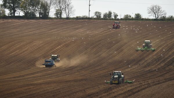 Farmers work in a field with vehicles near Pontefract, northern England, on April 23, 2020 - Sputnik International