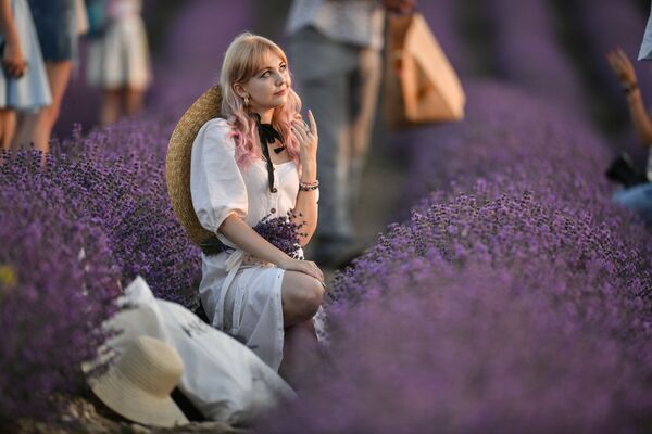 A girl on a lavender field in Crimea. Lavender plantations occupy more than 120 hectares in Bakhchisarai district near the village of Turgenevka. - Sputnik International