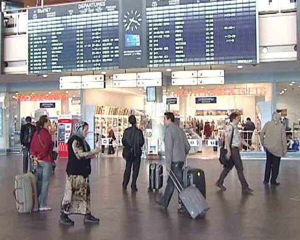В аэропортах Москвы ищут свиной грипп - Sputnik International