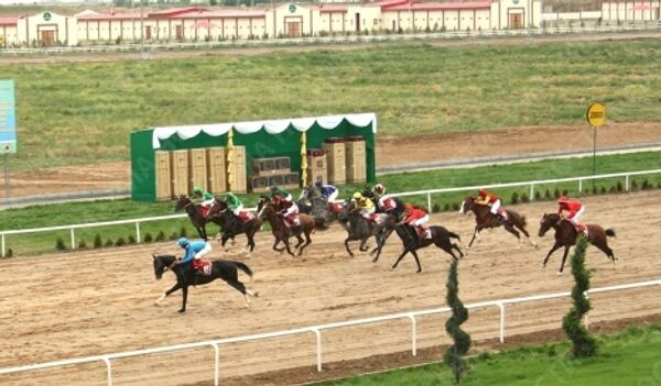 Akhal-Teke horses, the pride of Turkmenistan  - Sputnik International