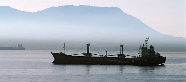 Cargo ship sailing - Sputnik International