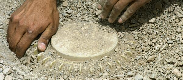 Field engineer  demining - Sputnik International