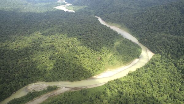 Military plane with 11 passengers missing in Amazonia - Sputnik International