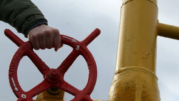  EU rejects view of South Stream, Nabucco gas pipelines as rivals  - Sputnik International