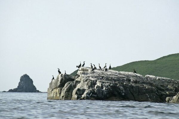 Primorye - a region of unique nature Primorye - a region of unique nature - Sputnik International