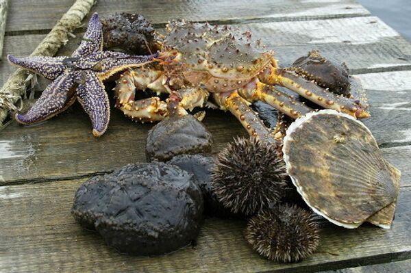 Primorye - a region of unique nature Primorye - a region of unique nature - Sputnik International