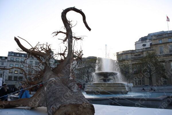 Ghost Forest in Trafalgar Square - Sputnik International