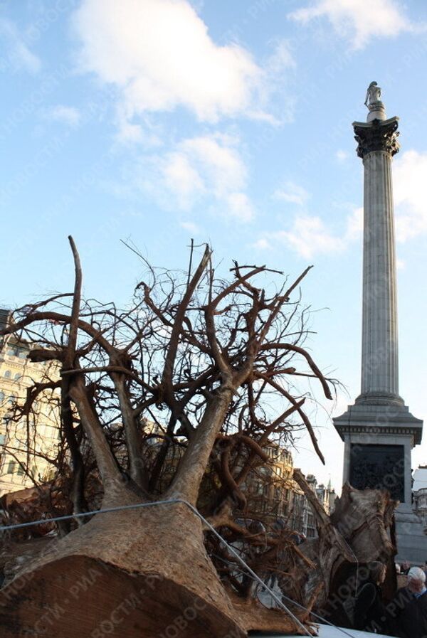 Ghost Forest in Trafalgar Square - Sputnik International