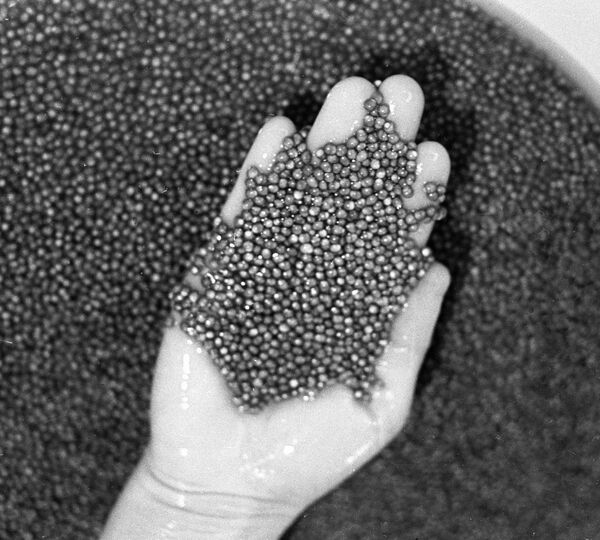 Around 10 tons of poached caviar seized in Moscow Region - Sputnik International
